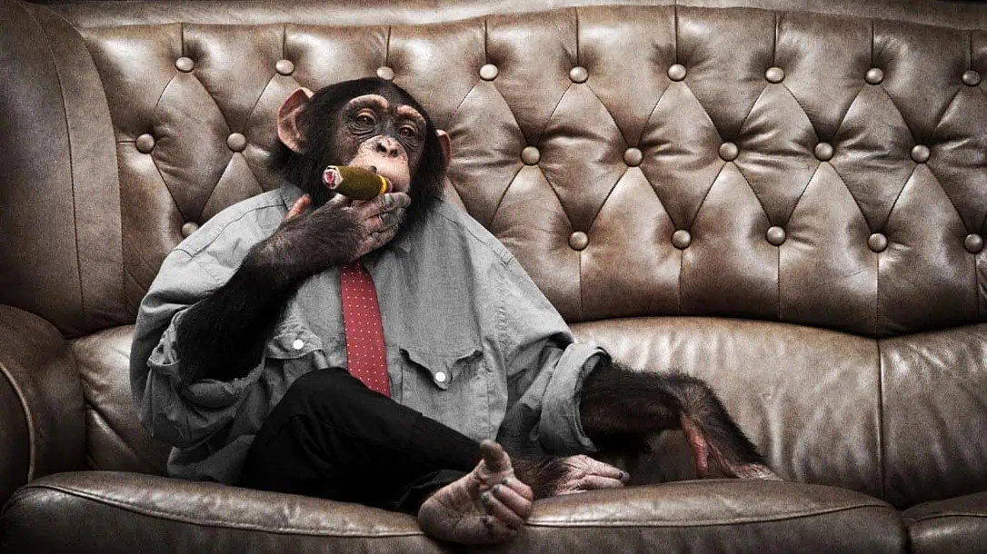 Learning various monkey laws is definately mindless intel.