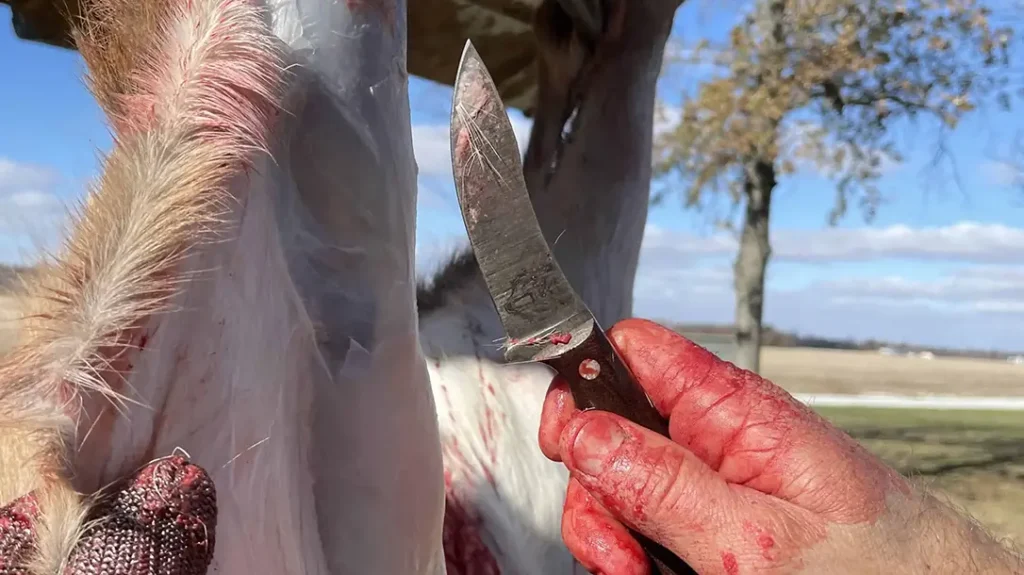 Skinning game requires a quality blade.