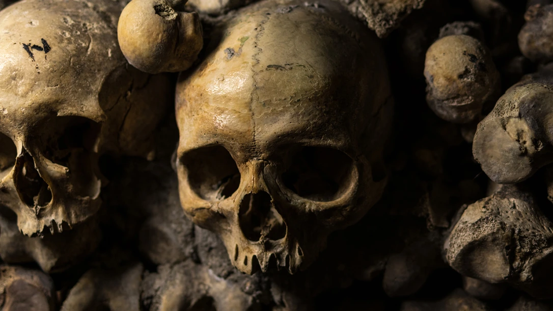 This narrative delves into the symbolism and craftsmanship behind these macabre displays.