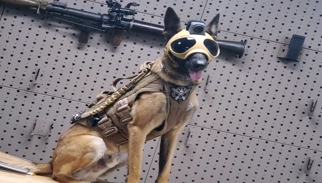 Call of Duty rex