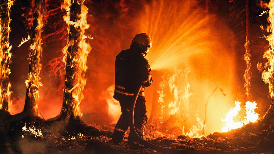 Equipped with specialized training and gear, wildland firefighters are the first responders in forested areas during fire outbreaks.